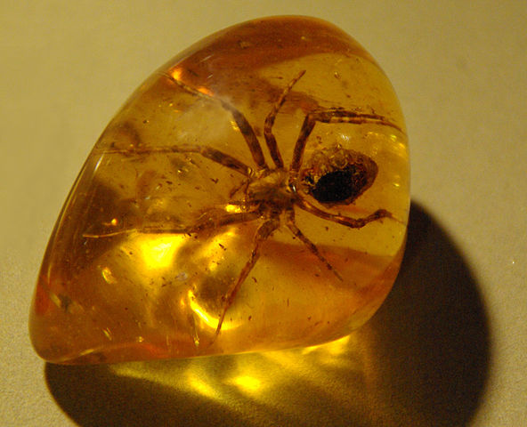 Spider_in_amber_(1)